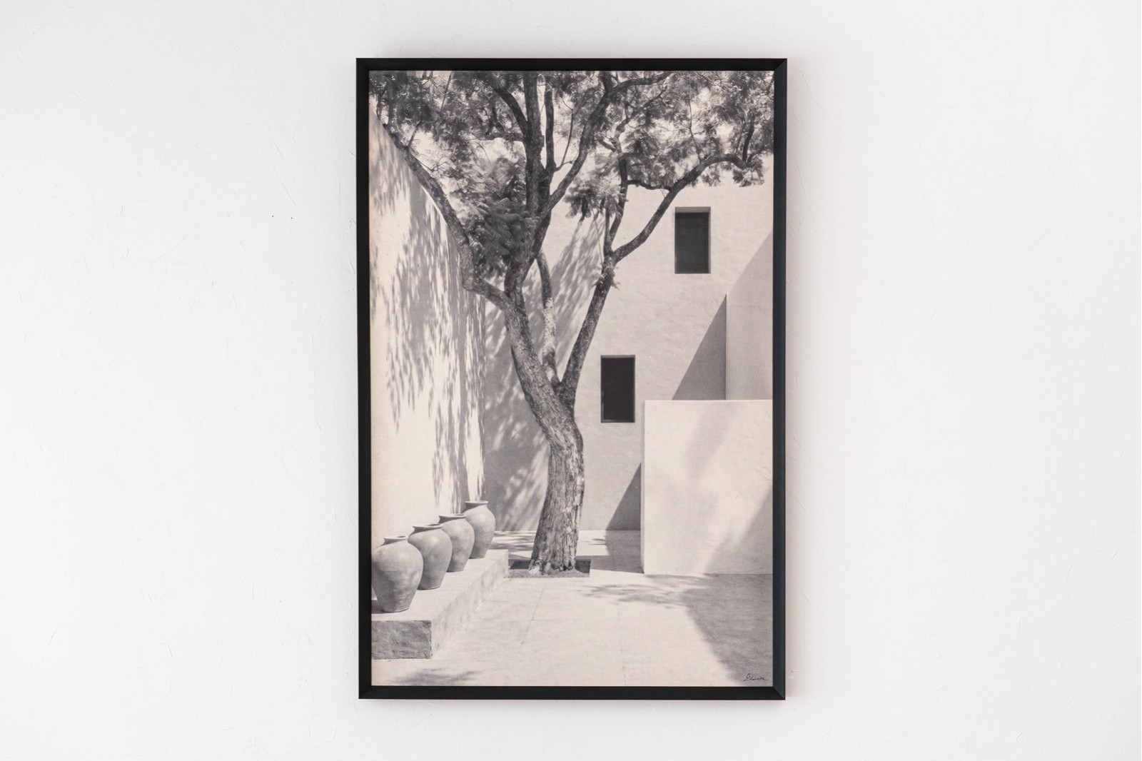 FOTOGRAFÍA SOBRE LINO EL PATIO N3