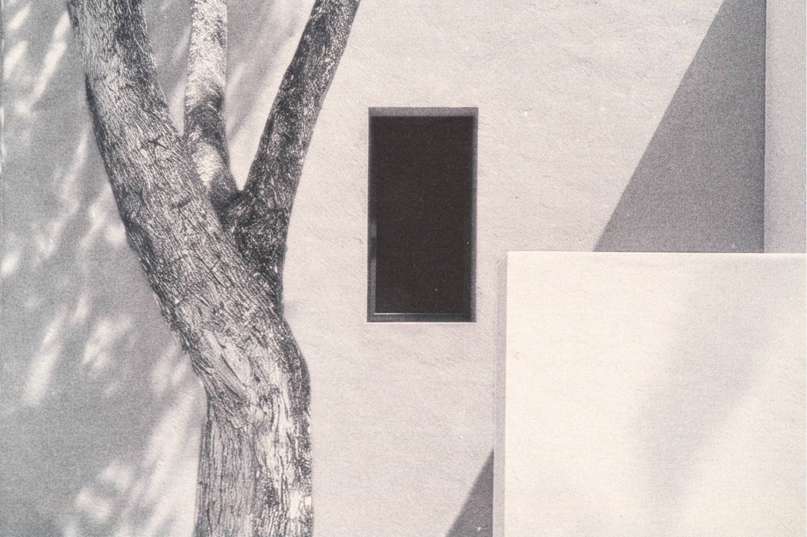 FOTOGRAFÍA SOBRE LINO EL PATIO N3